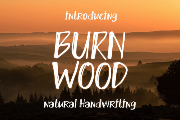 Burn Wood: A Quirky Display Font That Adds Warmth to Brand Identity